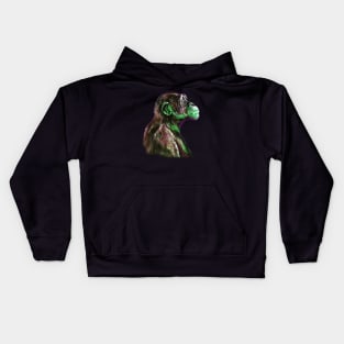 Chimp 3 Kids Hoodie